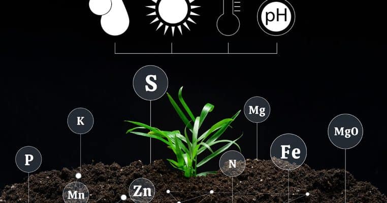 พื้นฐานค่า pH ของดินและผลกระทบต่อผลผลิตของพืช